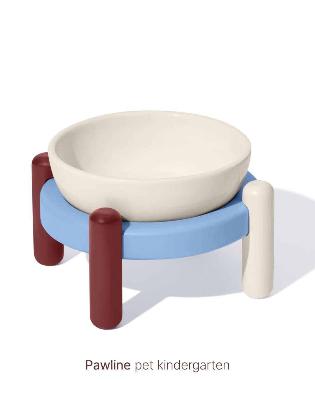 유치원에서 놀고 있는 강아지