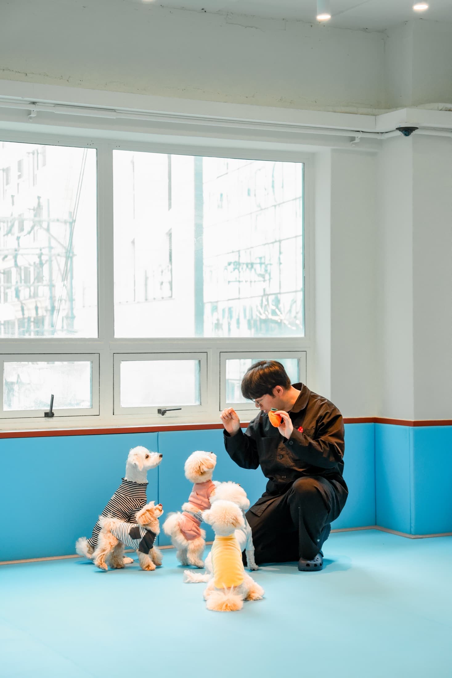훈련사와 기다려 교육 중인 아이들