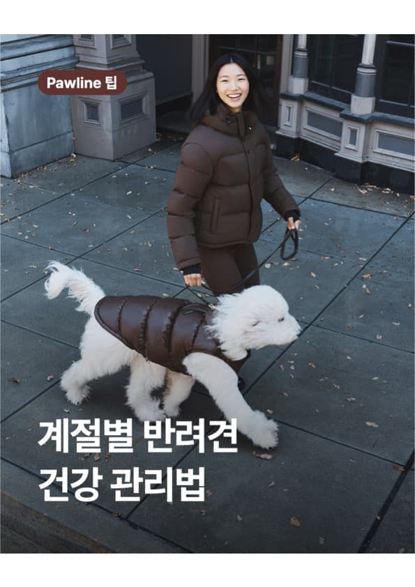 기초 복종 훈련